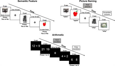 Investigating Language and Domain-General Processing in Neurotypicals and Individuals With Aphasia — A Functional Near-Infrared Spectroscopy Pilot Study